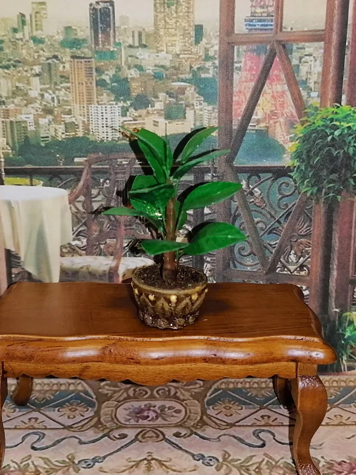 Ficus for the doll house. 1:12. Puppet miniature. Dollhouse.