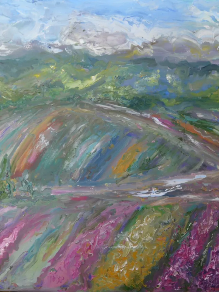 Japanese fields large canvas ,original oil landscape painting,,meadows,mountains,coloured fields painting,50/70 sm canvas wall art.