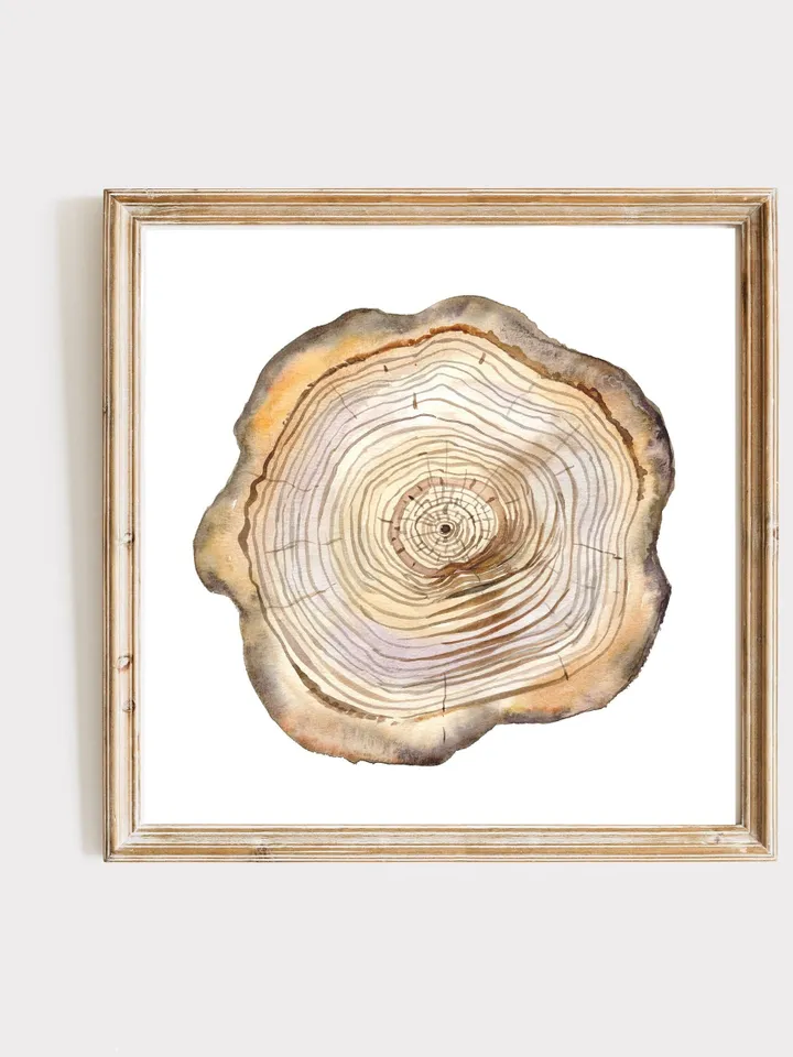 Tree Stump Print Tree Ring Watercolor Wall Art Wood Cut Art Forest Decor Tree Ring Painting Scandinavian Print Minimalist Poster Watercolor