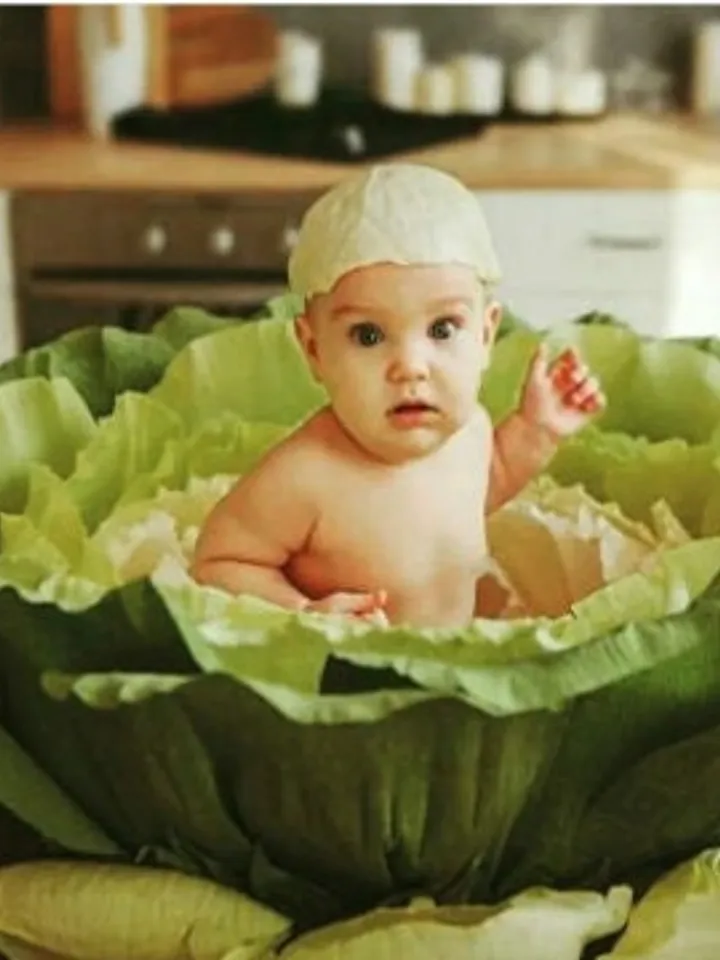 Giant Flower Newborn Baby Photography Props Children Props newborn Newborn Photo Prop Props newborns newborn props girl