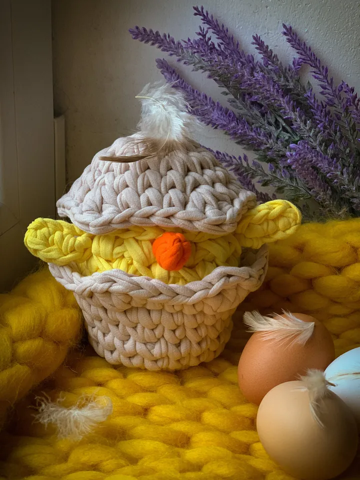basket chicken egg Easter, crochet interior gift, bedroom livingroom storage, eco friendly basket