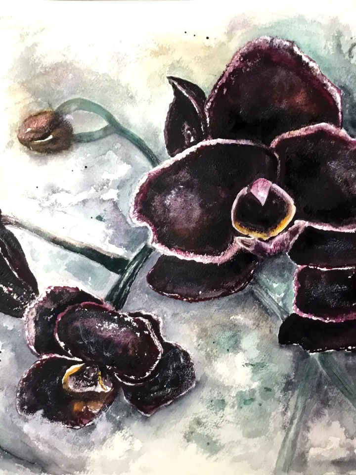Black orchids,original watercolour painting,orchids wall art,watercolor flowers wall decoration.