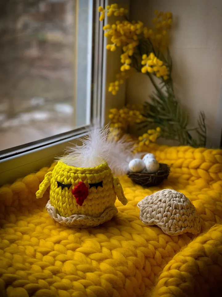 Basket chicken egg Easter, crochet interior gift, bedroom livingroom storage, table decor, eco friendly