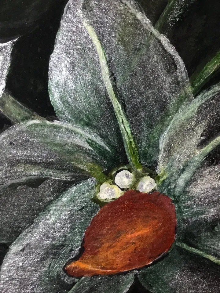 Orchids painting,White orchid flowers on black background, home decoration,original watercolour painting,framed.