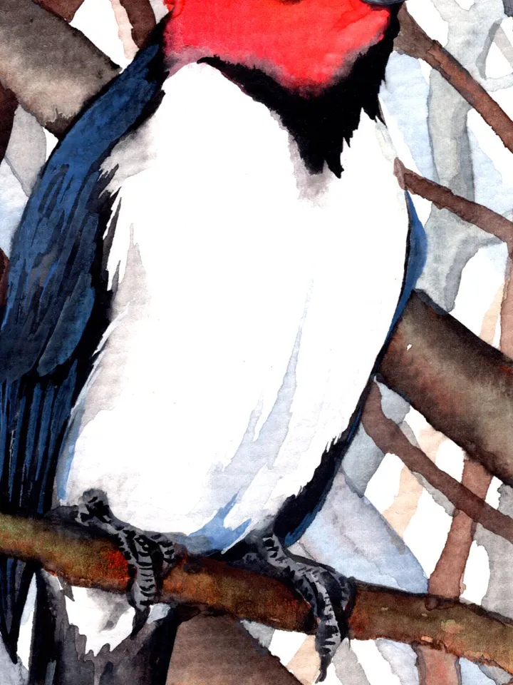 Woodpecker original watercolor, birds painting, handmade wall decor, 5x7 in art for bird lovers by Anne Gorywine