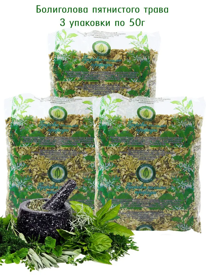 Hemlock spotted Conium maculatum 3 packs of 50 gr.