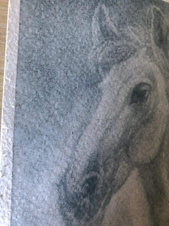 White horse portrait farmhouse painting modern wall art Original oil painting 8x6 inches