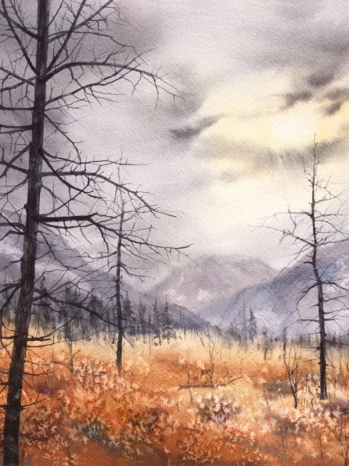 Forest Original Painting Landscape Trees Painting Field Wall Art