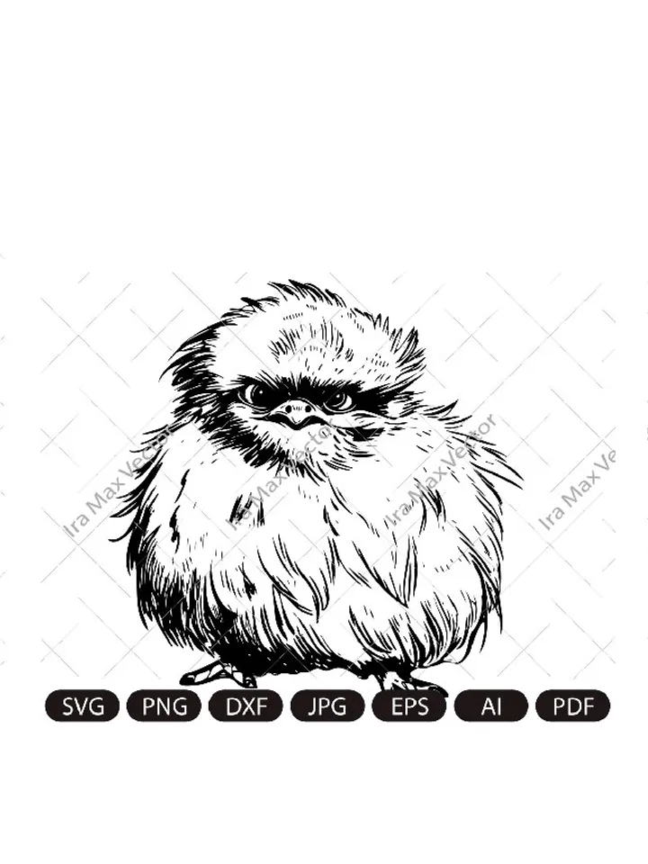Silkie hen, Silk rooster,Silkie bird ,FUNNY SILKIE HEN Digital image, animal, bird, hen, cock