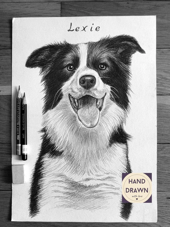 Custom graphite pencils pet portrait | Custom Hand painted Dog portrait | Custom Dog portrait | Hand drawn pet portrait