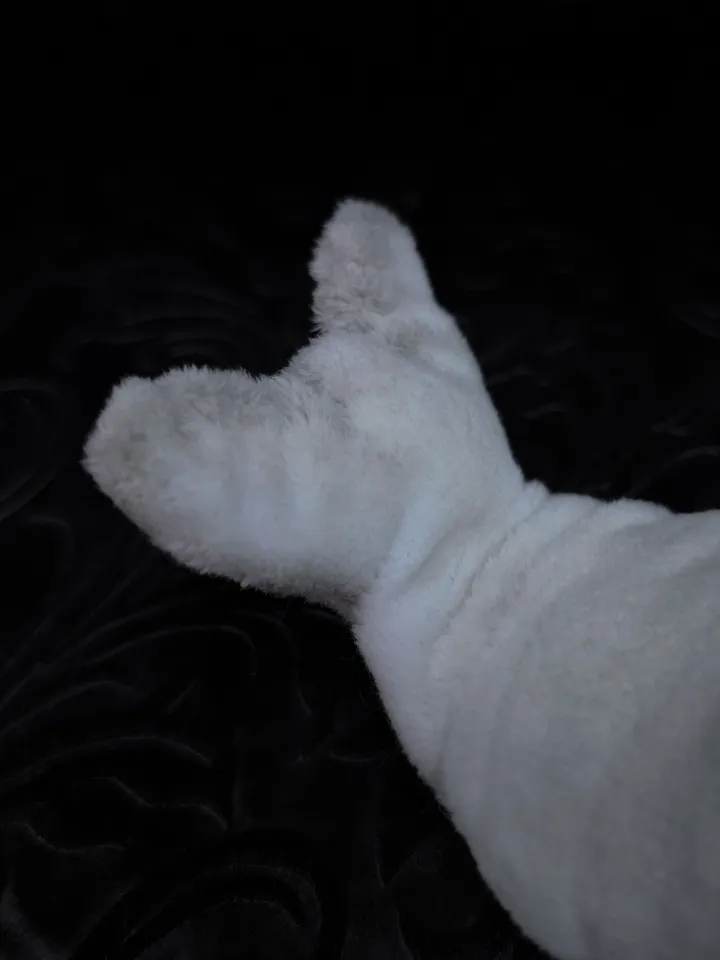 Baby seal half plush doll