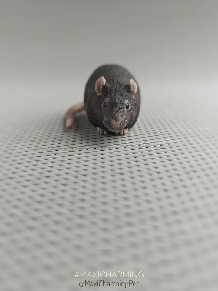 Custom rat small sculpture