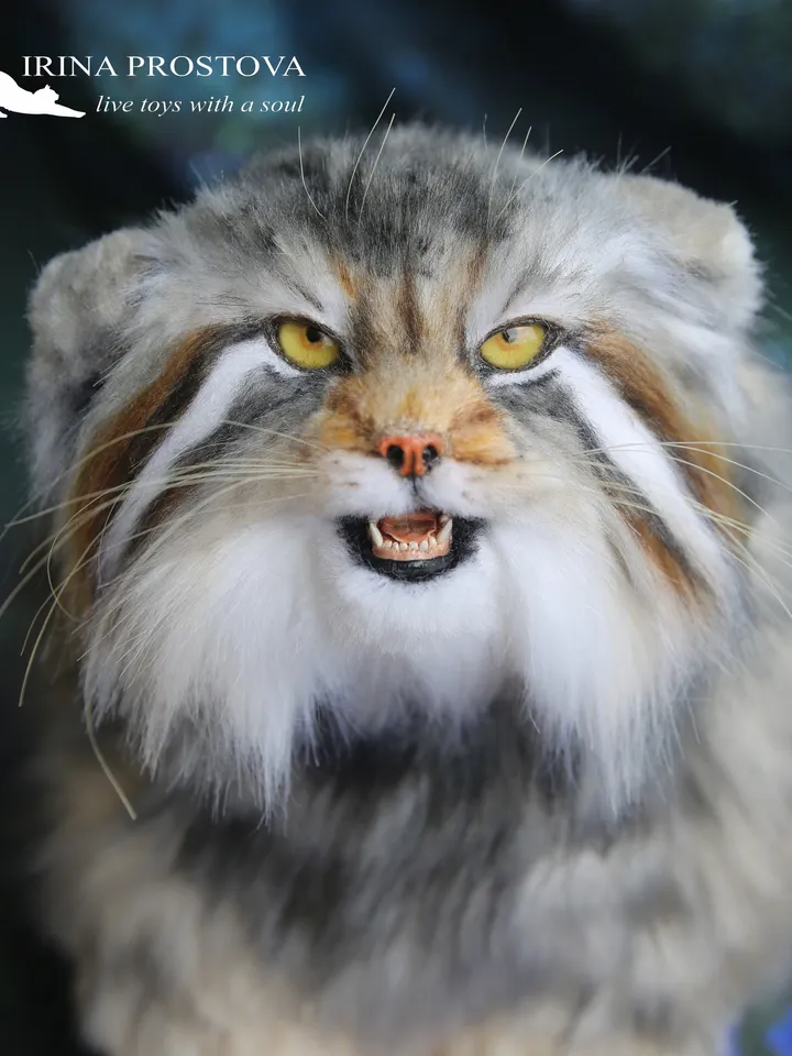 Pallas cat Fedor realistic plush animals. Ooak toy. Realistic manul stuffed toy