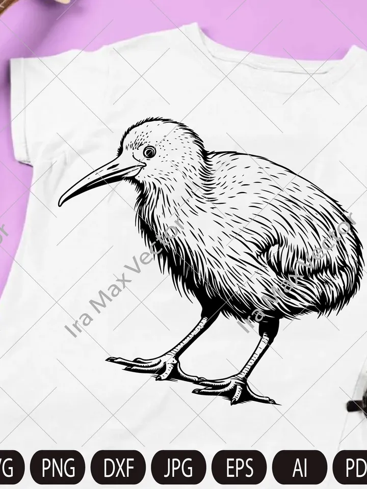 Kiwi SVG, Kiwi Bird svg, Kiwi Bird detailed, Kiwi png , Kiwi clipart, Kiwi Bird Clipart, Kiwi Bird svg files , Kiwi art