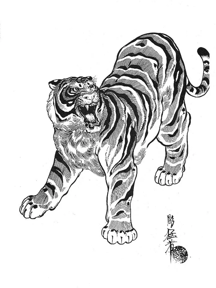 Jack Mosher Tigers Hawks & Snakes