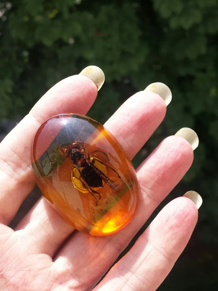 Real Bee Insect in Amber Epoxy Resin Cabochon for Crafts make jewelry Home Decor Fridge Magnet Small Gift for Kids teenager