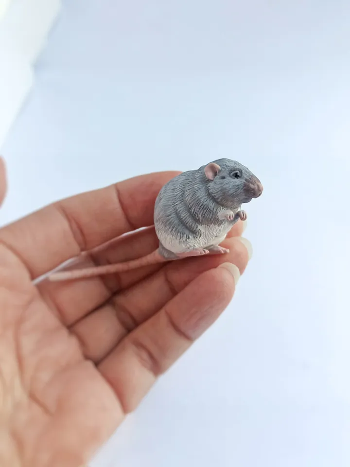 Small rat from photo