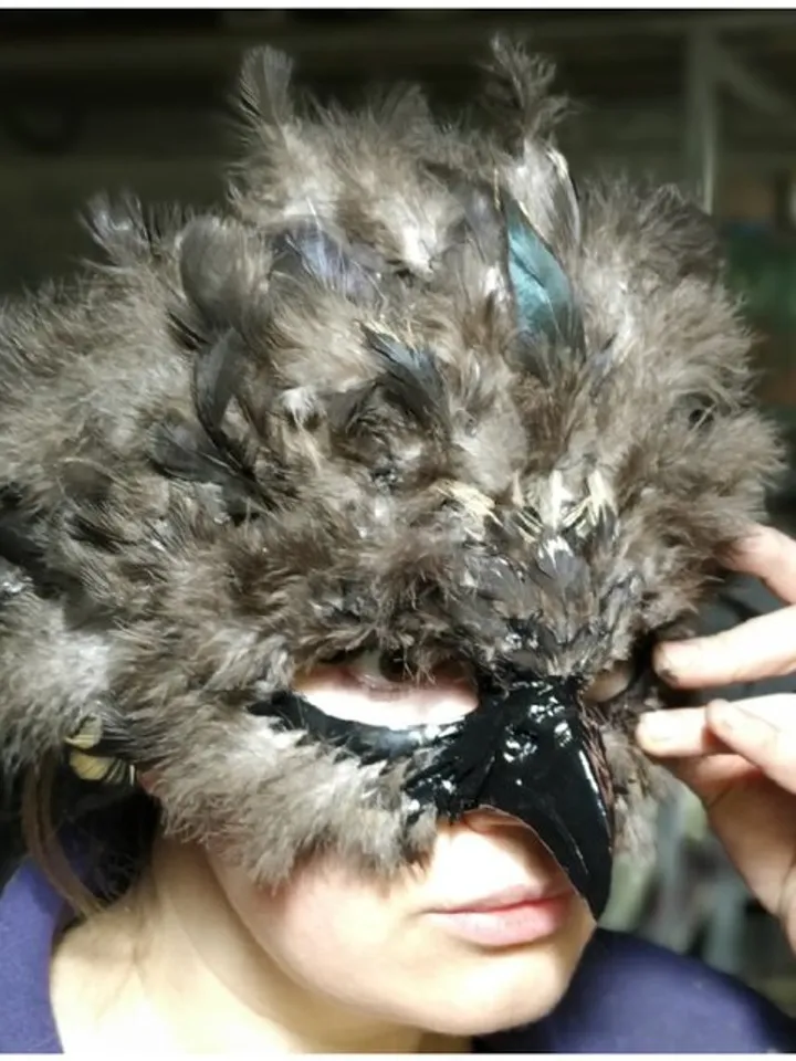 Falcon mask - Mask Hawk - Mask eagle - bird mask - cosplay mask - Mr. bird - Mrs