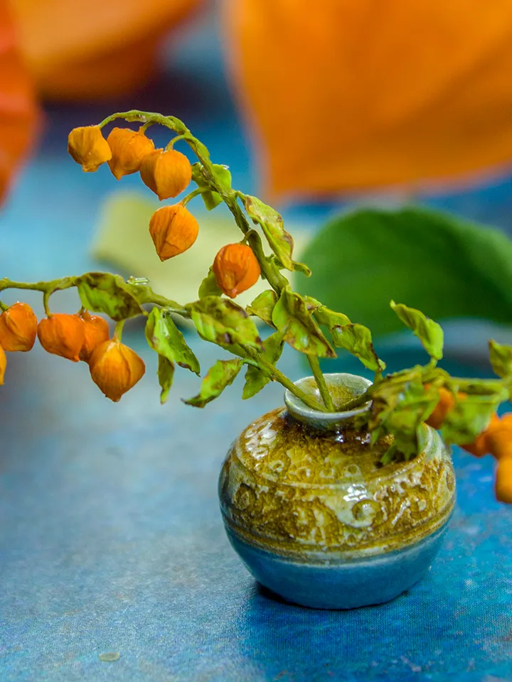 TUTORIAL Miniature physalis with air dry clay