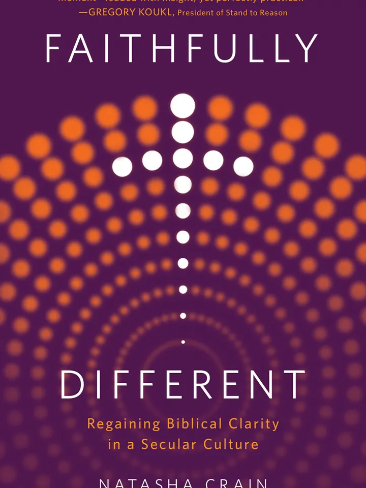 Faithfully Different Regaining Biblical Clarity in a Secular Culture by Natasha Crain Digital Download Ebook Book PDF