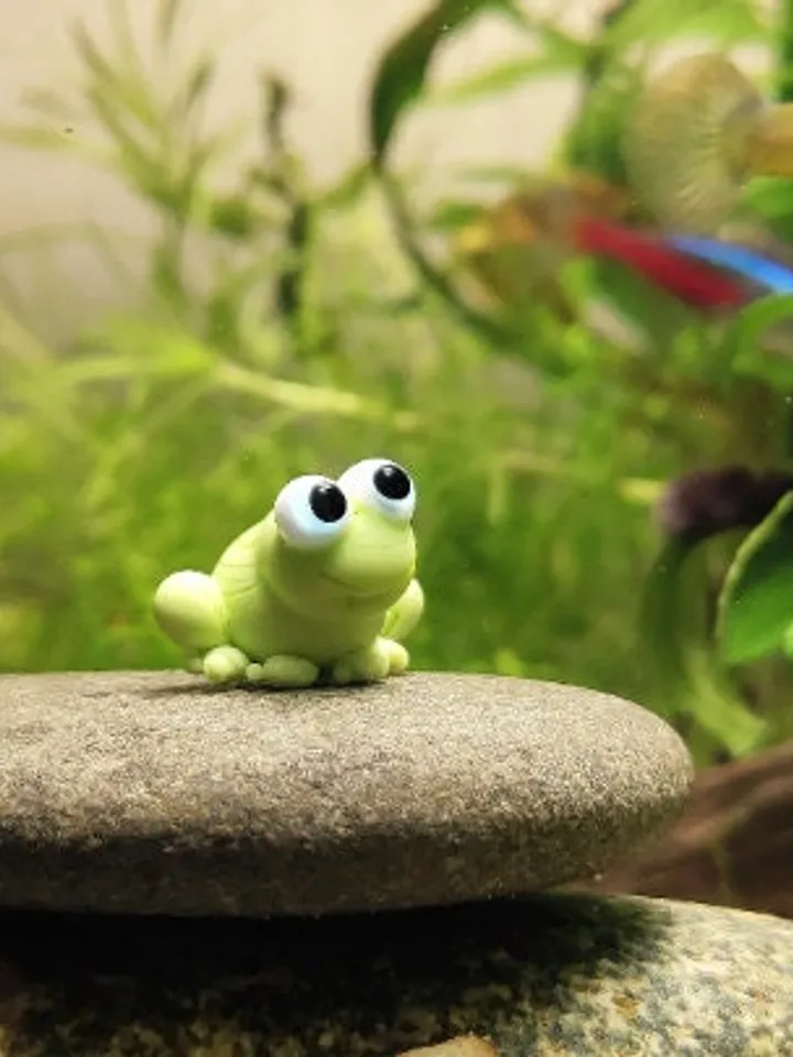 AQUARIUM DECORATION Frog figurine Small Aquarium decor Aquarium figurine Aquarium gifts Aquarium ornament Tiny frog Glass frog miniature