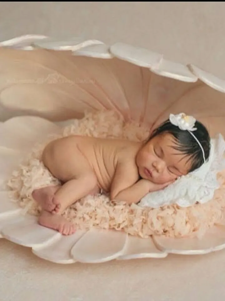Baby shell for newborn photo shoots-Newborn photo props-giant shell newborn photography-baby newborn props-Prop newborn.