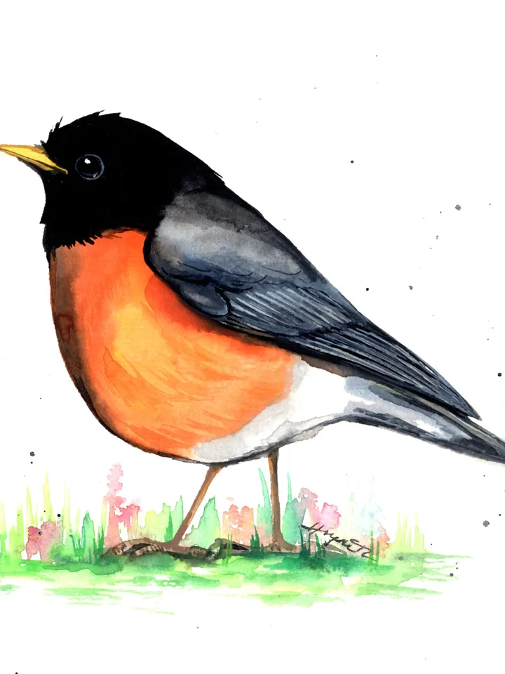 Robin original watercolor, bird on the grass painting, bird portrait room decor, 8x11 in wall art for bird lovers handmade by Anne Gorywine