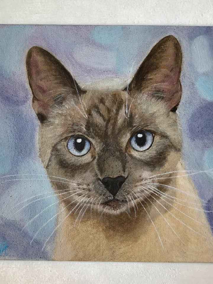 Cat portrait original oil painting on canvas animal art pet portrait hand painted modern painting wall art 8x8 inches