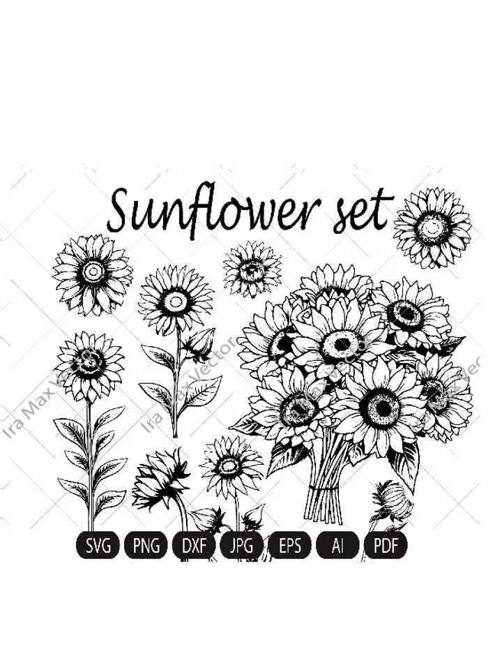 Sunflower SVG Files, SunFlower set SVG, Sunflower svg, Floral SVG files, Flower cut file, wild flower, Flower svg file, Floral Cut file