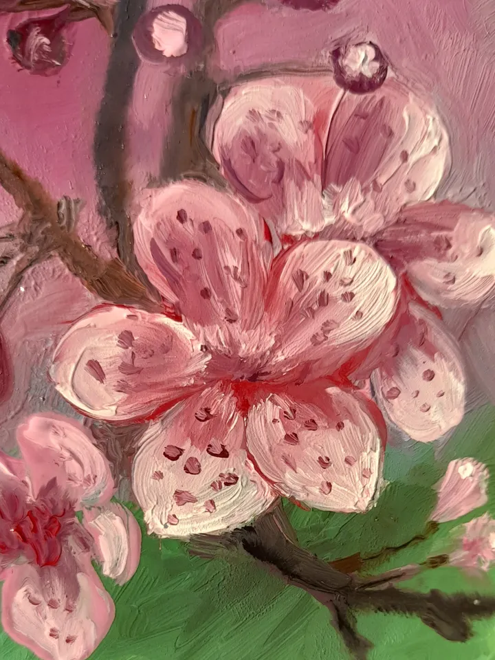 Sakura Oil Painting