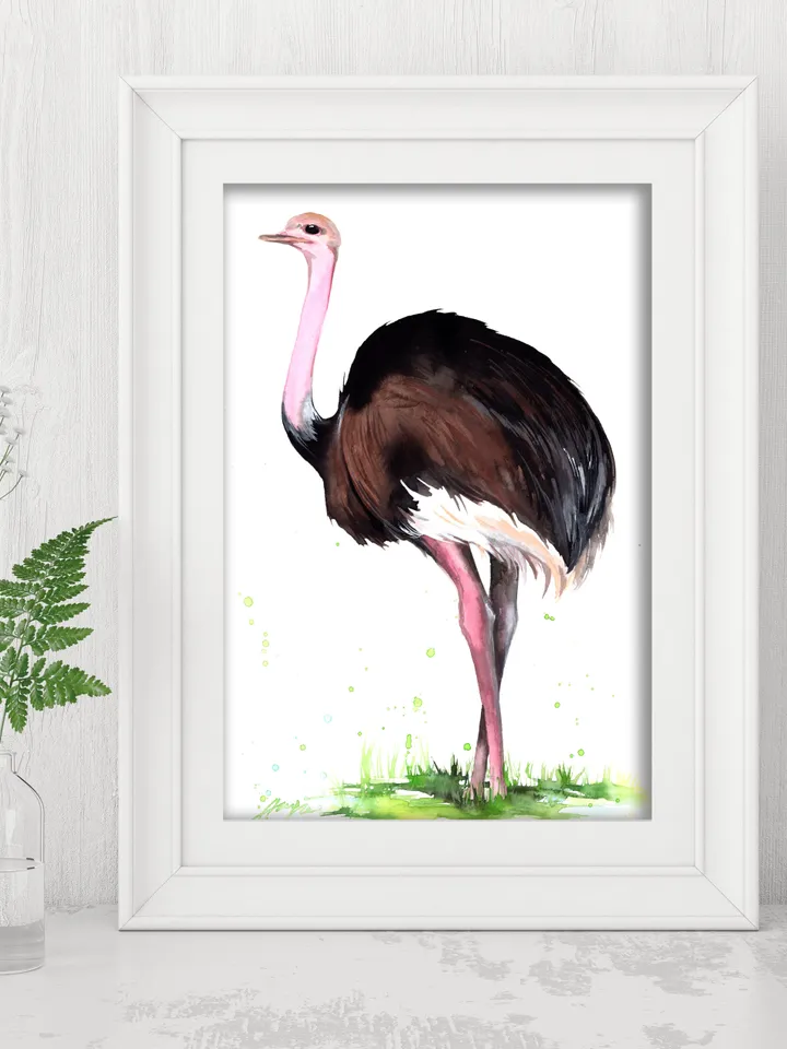 Ostrich Original watercolor, bird painting, wall decor, 8x11 in handmade art by Anne Gorywine