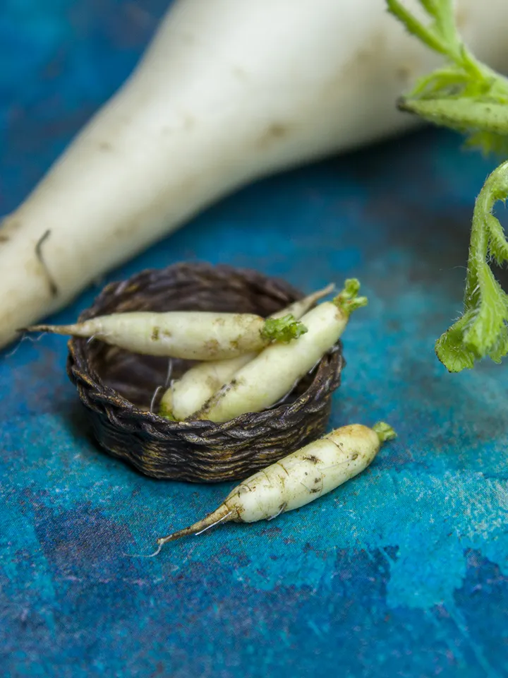 TUTORIAL Miniature daikon with polymer clay