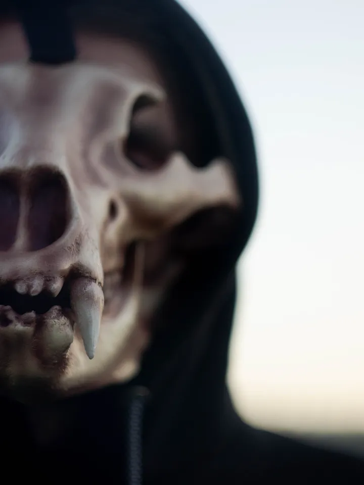 Bear Skull Mask, Realistic face Mask, Horror Mask, Animal Skull Mask, resin skull mask, realistic bear mask, burning man mask, shamanic mask