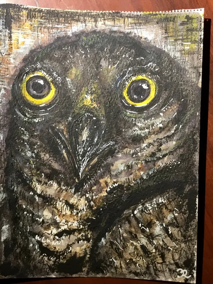 Eagle mix media painting,original watercolour ,acrylic and posca pen painting on watercolour paper,birds painting small painting wall art.