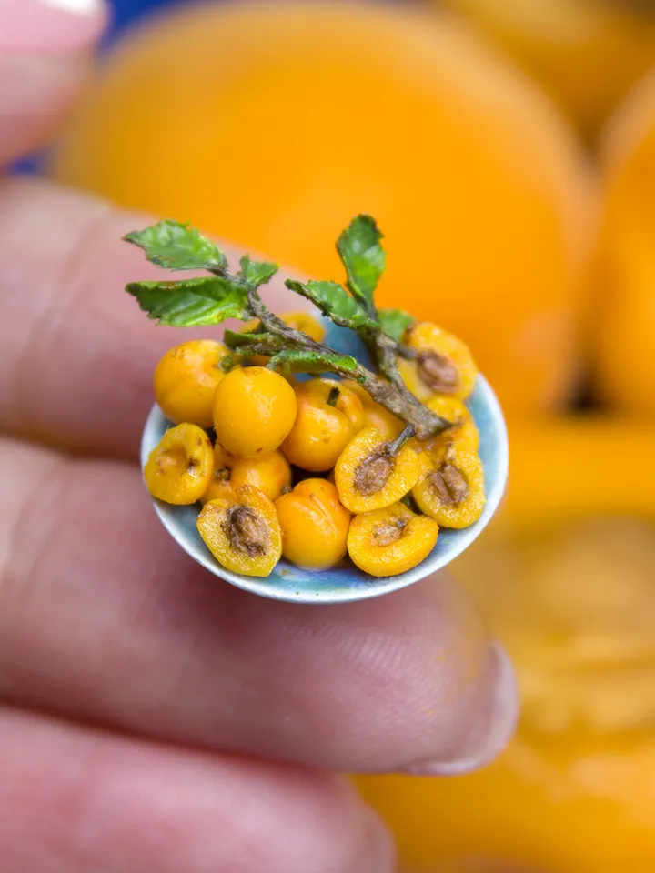 TUTORIAL Miniature apricot with polymer clay