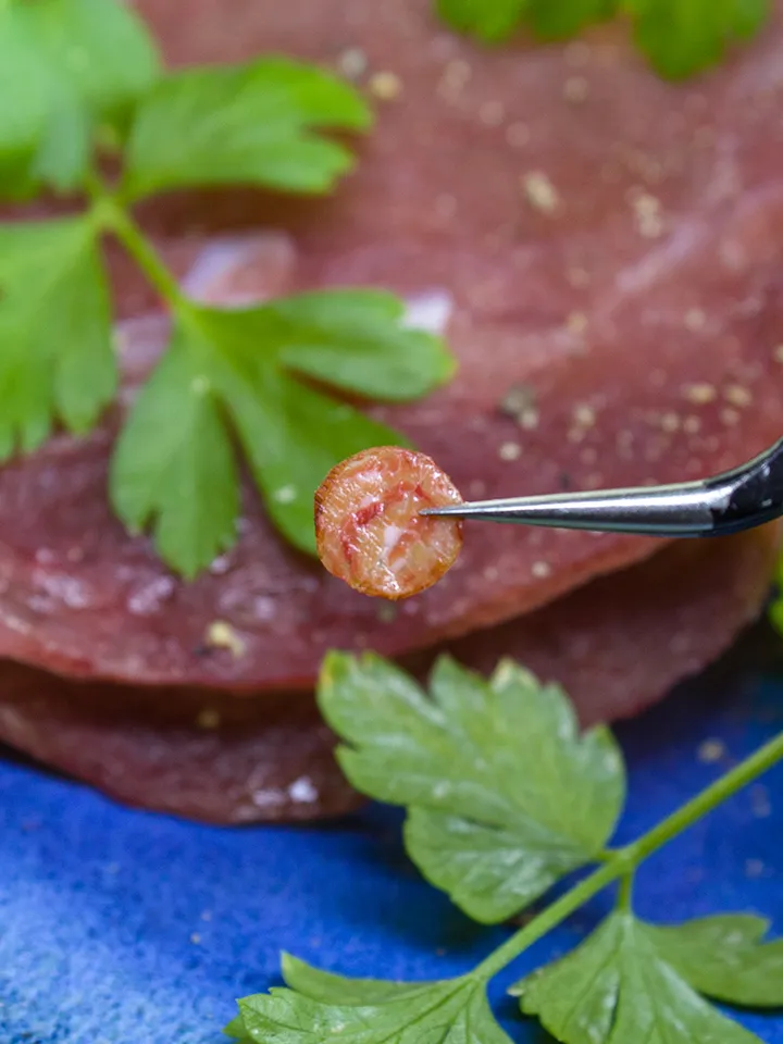 TUTORIAL Miniature turkey dry salami with polymer clay