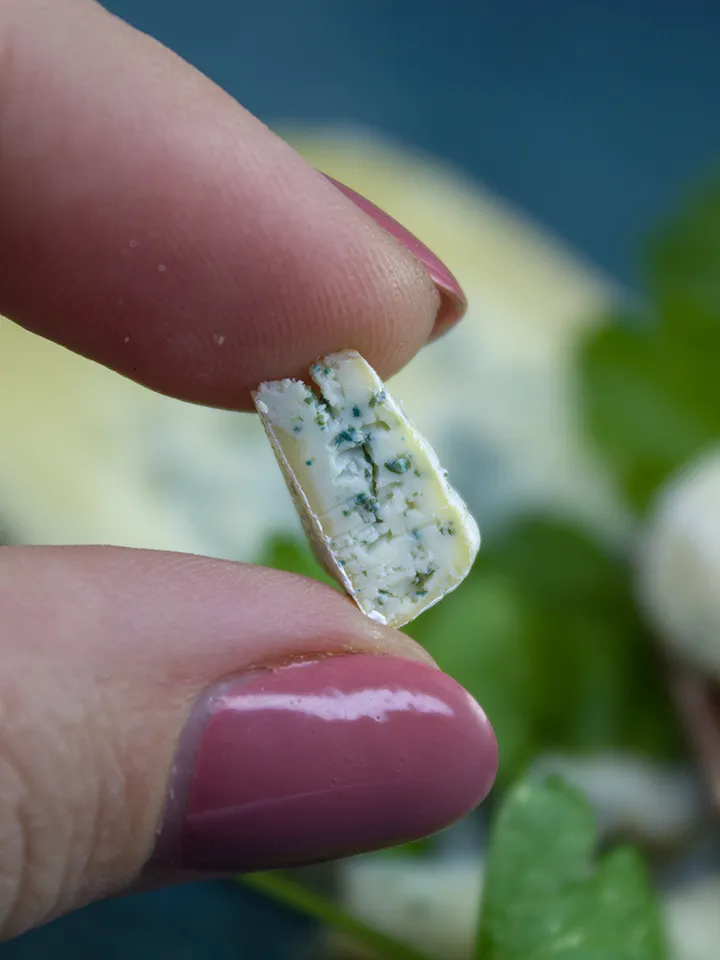 TUTORIAL Miniature blue cheese with polymer clay