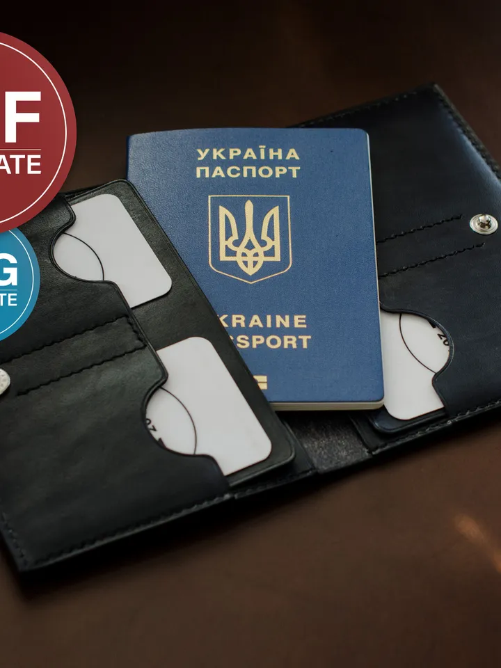 Leather Passport Wallet PDF Pattern: Travel Documents Holder SVG Template + Video