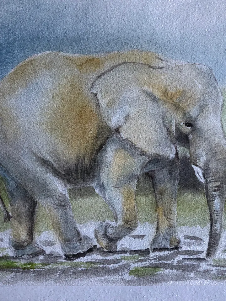 Elephant animal painting living room wall art original watercolour hand painted modern painting