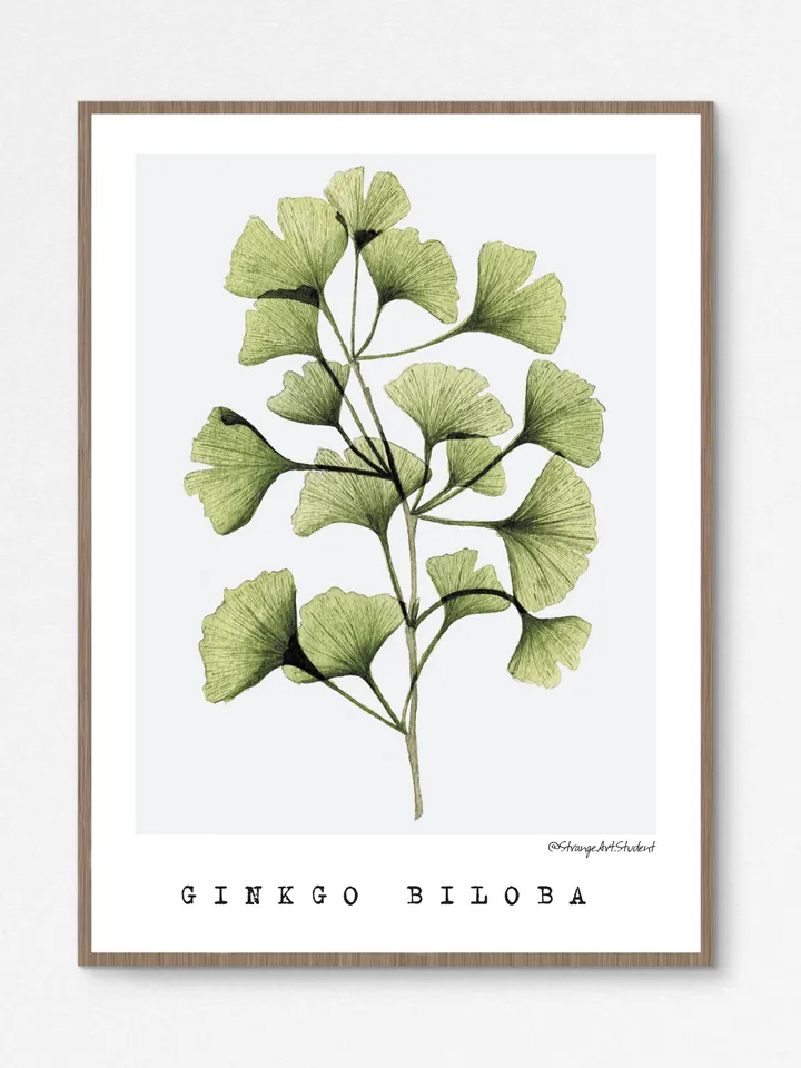Watercolor posters TRANSPARENT PLANTS size (8"x11") 21x30cm