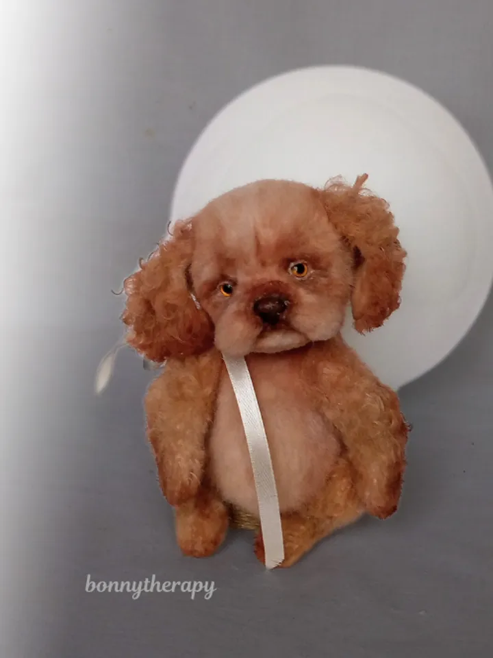 A cute puppy is waiting for you.