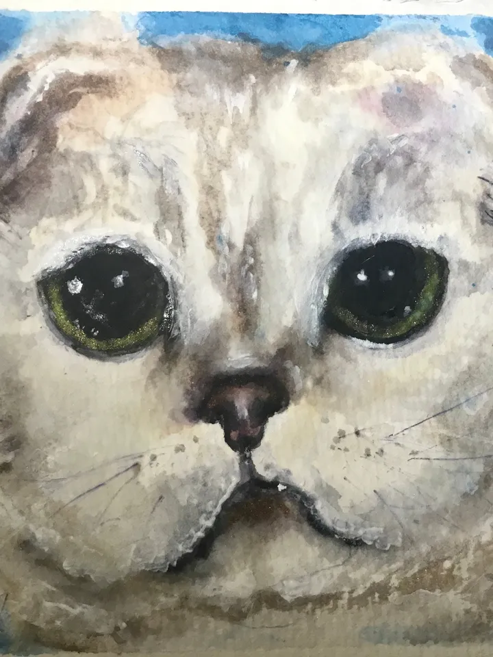 Scottish fold cat original watercolour painting,animals painting,gift for cat lovers,unique gift,white cat painting.