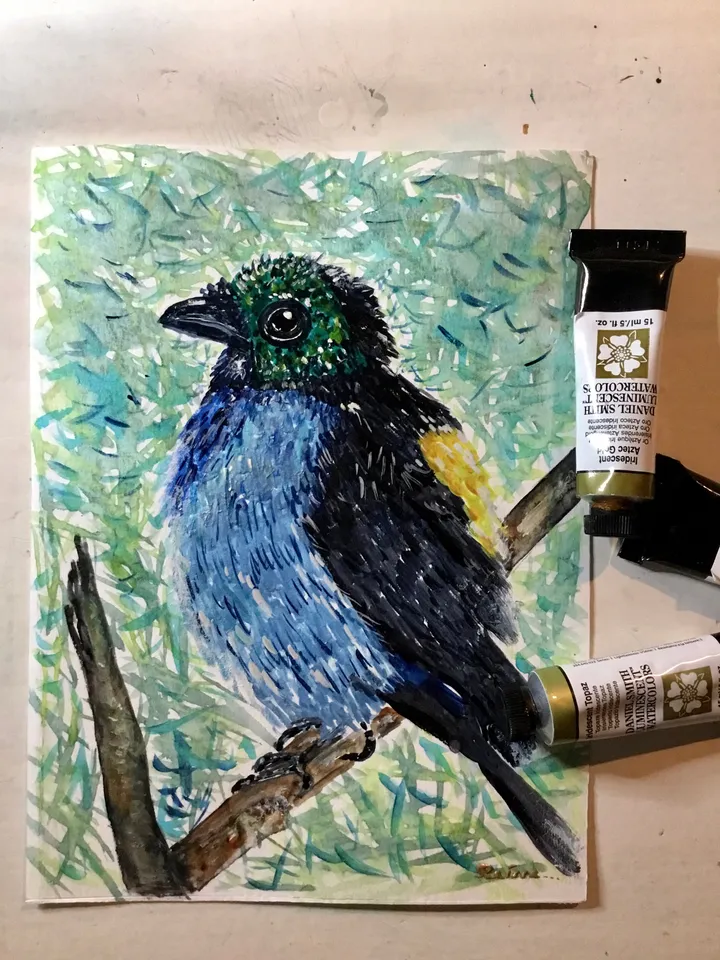 Paradise tanagra bird original watercolour painting.Bright exotic bird.