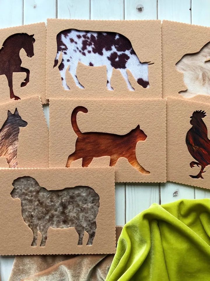 full set of tactile cards about animals