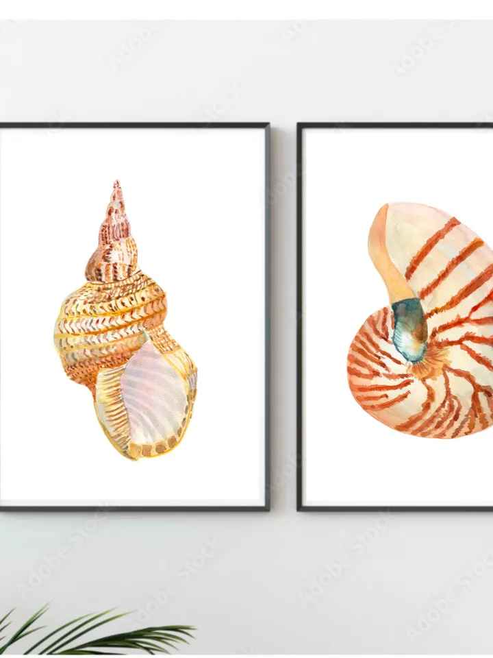 Shells, Shell art,Sea Shell Art, Shell Decor, Beach Cottage Art, Sea Shells Painting, Marine, Coastal Decor, Beach House art, Beach Artt,
