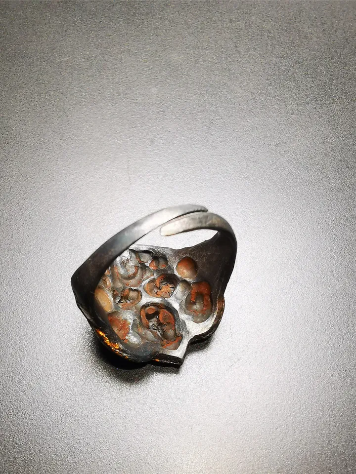 Gandhanra Unique Handcrafted Men's Ring, Tibetan Buddhist Garuda Ring,Made of Pure Gold Filled and Silver Filled,Protection Jewelry