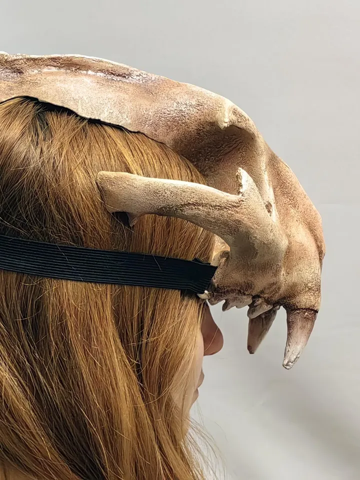 Lynx Skull Crown | Cat Skull Helmet | Realistic Animal Skull on head | tribal headpiece | Headpiece skull | ritual mask | pagan