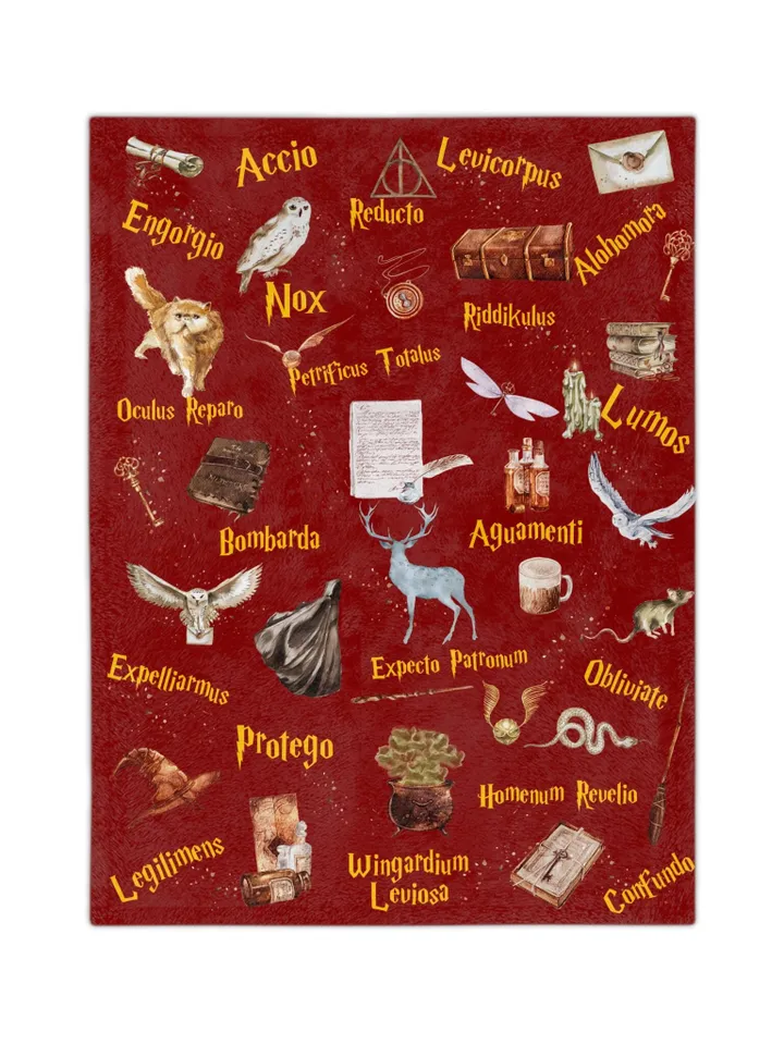 Wizarding World Baby Blanket; Magic School Baby Fleece Blanket Owl Key Magic World Custom Wizard Blanket Gift for Baby Minky Blanket WBB12