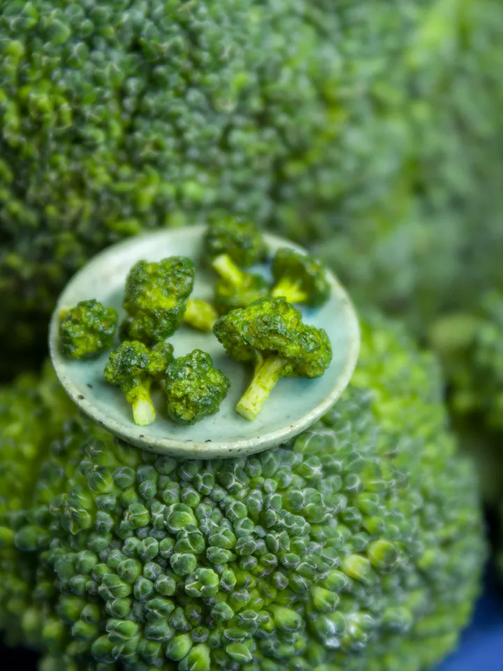 TUTORIAL Miniature broccoli with polymer clay