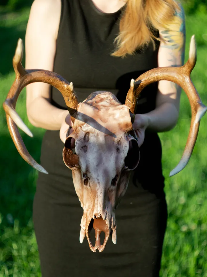 Deer Skull Mask, Antler Mask, Realistic Skull Mask, tribal headpiece, Headpiece skull, ritual mask, pagan headdress, skull costume mask